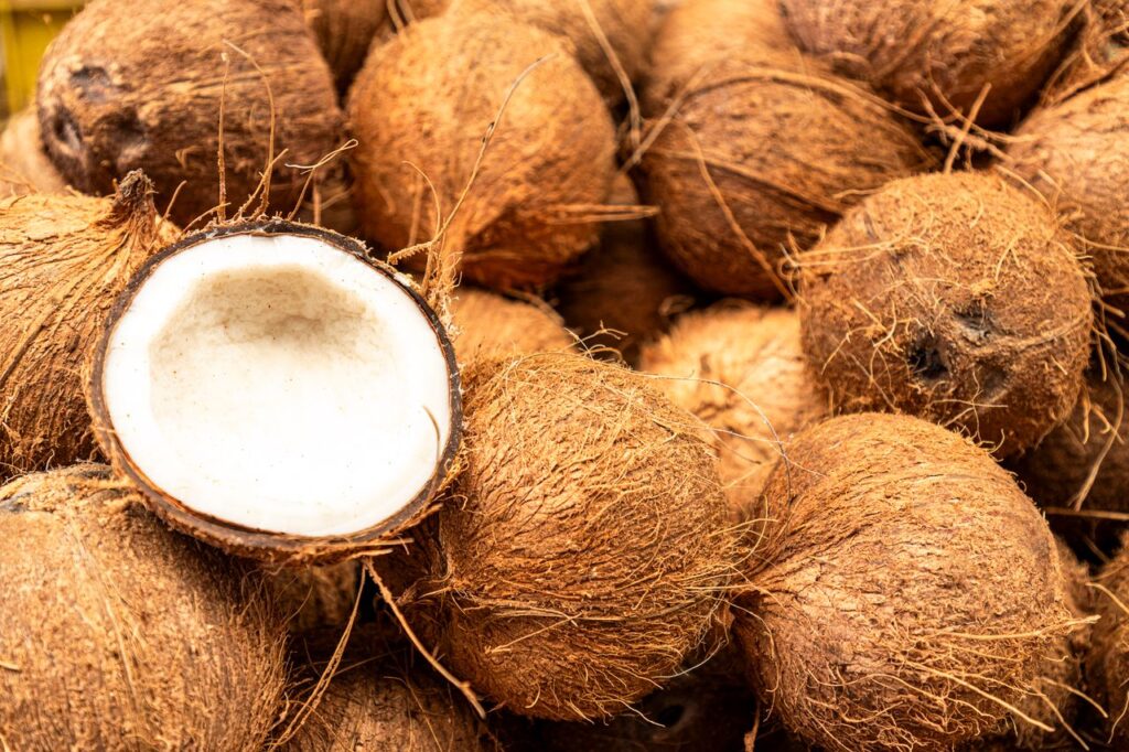 Semi-Husked Coconut